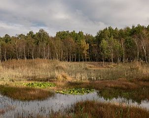 Verblijf 230504 - Vakantiewoning Friese bossen - Huisje in Ruigahuizen