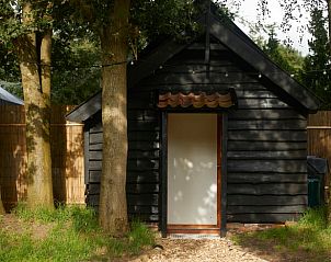 Guest house 230602 - Holiday property Friese bossen - Vakantiehuisje in Siegerswoude