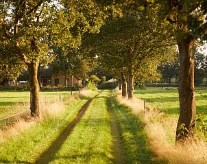 Guest house 230603 - Holiday property Friese bossen - Vakantiehuis in Siegerswoude