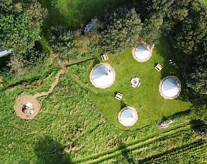 Guest house 230603 - Holiday property Friese bossen - Vakantiehuis in Siegerswoude