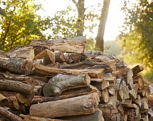 Guest house 230604 - Holiday property Friese bossen - Vakantiehuis in Siegerswoude