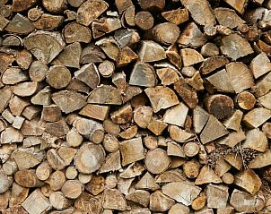 Guest house 230606 - Holiday property Friese bossen - Huisje in Siegerswoude