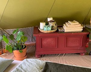 Guest house 230607 - Holiday property Friese bossen - Vakantiehuisje in Siegerswoude