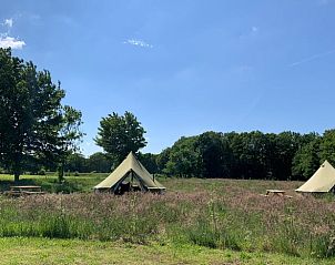 Guest house 230607 - Holiday property Friese bossen - Vakantiehuisje in Siegerswoude