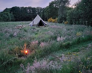 Guest house 230607 - Holiday property Friese bossen - Vakantiehuisje in Siegerswoude