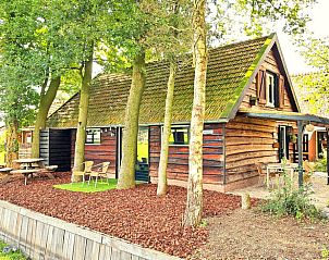 Guest house 230609 • Holiday property Friese bossen • Huisje in Siegerswoude - Bakkeveen 