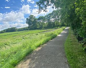 Verblijf 230706 - Vakantiewoning Friese bossen - Vakantiehuisje in Sondel