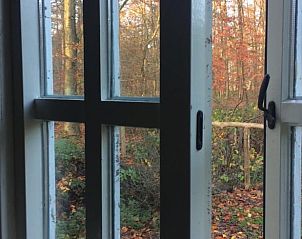 Blick auf die herbstlichen Wlder vom Huisje in Haule, Ferienhaus in Friesland.
