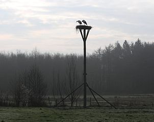 Strche im Morgennebel bei einem Ferienhaus in Haule, Friesland.