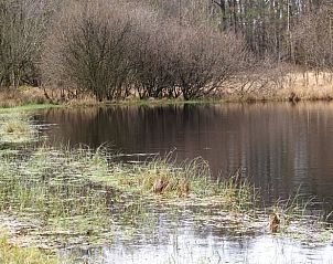 Ruhiger Teich in der Nhe von Haus in Haule, Ferienhaus in den friesischen Wldern.