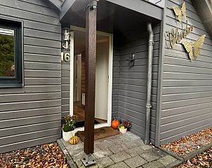 Unterkunft 230906 - Ferienhaus Friese bossen - Vakantiehuis in Bakkeveen