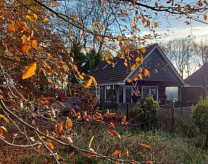 Verblijf 230908 • Vakantiewoning Friese bossen • Vakantiehuisje in Bakkeveen 