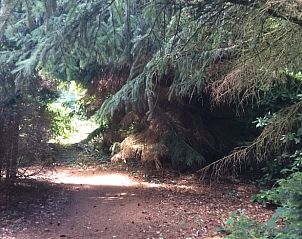 Verblijf 231108 - Vakantiewoning Friese bossen - Vakantiehuis in Noordwolde