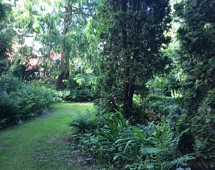 Verblijf 231108 - Vakantiewoning Friese bossen - Vakantiehuis in Noordwolde