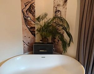 Guest house 231111 - Apartment Friese bossen - Huize Triangel | Studio met sauna