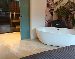 Guest house 231111 - Apartment Friese bossen - Huize Triangel | Studio met sauna