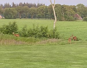 Moderne woonkamer van vakantiehuis FR439 in Noordwolde, met kleurrijk vloerkleed.