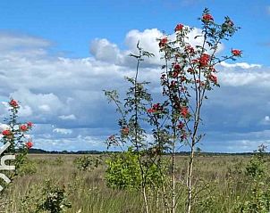 Wohnzimmer mit Seeblick im Ferienhaus FR270, Oosterwolde, ideal zum Entspannen.
