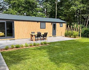 Ferienhaus in Oosterwolde mit Terrasse und grner Natur, friesische Wlder, Friesland.