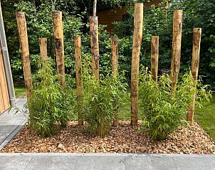 Bambus und Holzpfhle im Garten des Ferienhauses in Oosterwolde, Friesische Wlder.