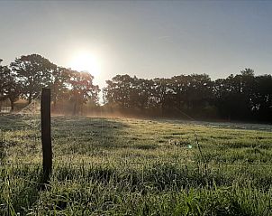 Sonnenaufgang ber taufrischen Feldern bei einem Ferienhaus in Oosterwolde, Friesland.