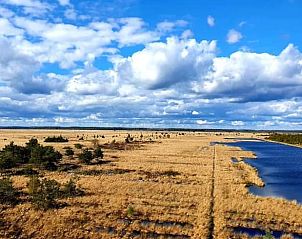 Unterkunft 231223 - Ferienhaus Friese bossen - Vakantiehuisje in Oosterwolde