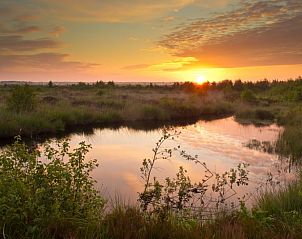 Unterkunft 231223 - Ferienhaus Friese bossen - Vakantiehuisje in Oosterwolde
