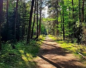 Unterkunft 231223 - Ferienhaus Friese bossen - Vakantiehuisje in Oosterwolde