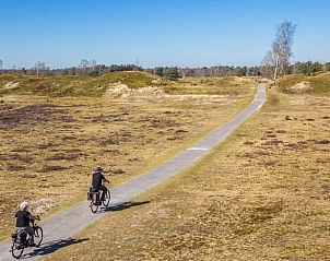 Unterkunft 231223 - Ferienhaus Friese bossen - Vakantiehuisje in Oosterwolde