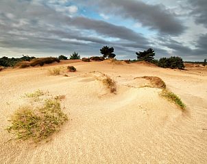 Unterkunft 231223 - Ferienhaus Friese bossen - Vakantiehuisje in Oosterwolde