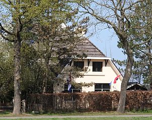 Auenbereich des Ferienhauses in Oosterwolde, umgeben von Bumen und Natur.