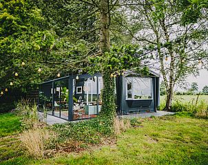 Ein sonniger Tag im Ferienhaus in Oosterwolde, mit Blick auf die Natur in Friesland.