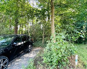 Parkeerplaats bij Vakantiehuisje in Oosterwolde, omgeven door de groene natuur van Friesland.