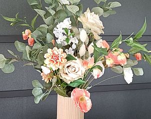 Unterkunft 231228 - Ferienhaus Friese bossen - Vakantiehuis in Oosterwolde