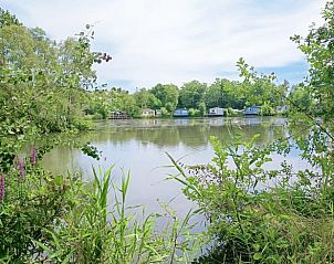 Unterkunft 231228 - Ferienhaus Friese bossen - Vakantiehuis in Oosterwolde