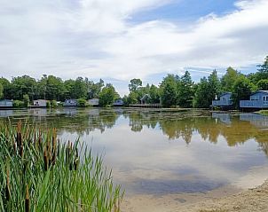Unterkunft 231228 - Ferienhaus Friese bossen - Vakantiehuis in Oosterwolde