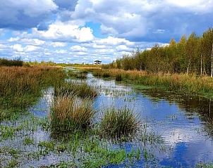 Unterkunft 231228 - Ferienhaus Friese bossen - Vakantiehuis in Oosterwolde