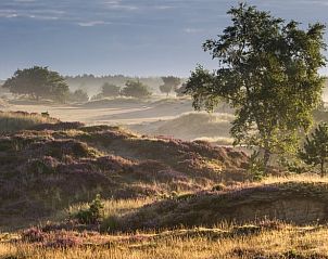 Unterkunft 231228 - Ferienhaus Friese bossen - Vakantiehuis in Oosterwolde