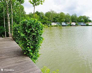 Verblijf 231231 - Chalet Friese bossen - Vakantiehuis Goudmeer