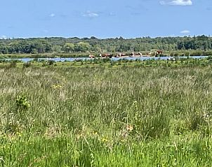 Unterkunft 231234 - Ferienhaus Friese bossen - Vakantiehuis in Oosterwolde