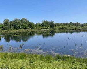 Uitgestrekt natuurgebied nabij Vakantiehuisje in Oosterwolde, Friese bossen.