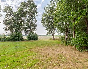 Unterkunft 231236 - Chalet Friese bossen - Chalet in Oosterwolde