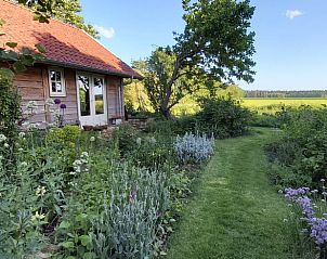 Guest house 231402 • Holiday property Friese bossen • Vakantiehuisje in Haulerwijk 