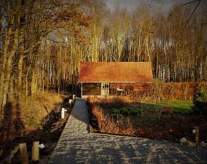 Verblijf 231403 • Vakantiewoning Friese bossen • Huisje in Haulerwijk 