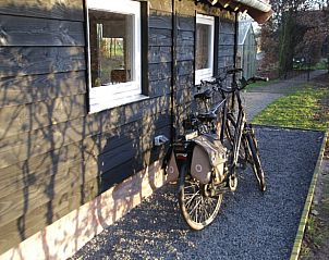 Fietsen geparkeerd bij Huisje in Haulerwijk, vakantiehuis in de Friese bossen.