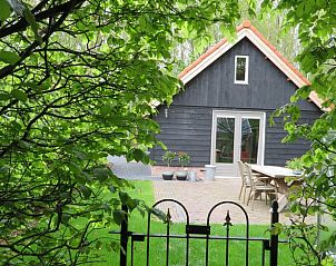 Achtertuin van Huisje in Haulerwijk, vakantiehuis in Friesland, met terras en groen.