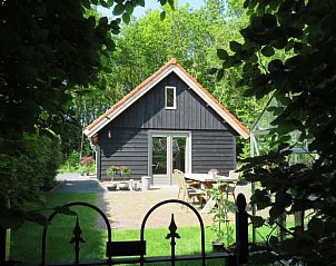 Voortuin van Huisje in Haulerwijk, vakantiehuis in de Friese bossen, met terras.