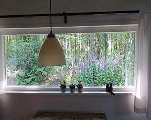 Grote ramen met uitzicht op de Friese bossen vanuit Huisje in Haulerwijk.