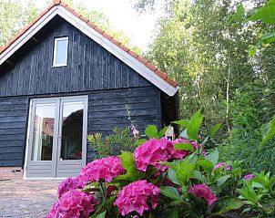 Zijaanzicht van Huisje in Haulerwijk, vakantiehuis met bloemen in Friesland.