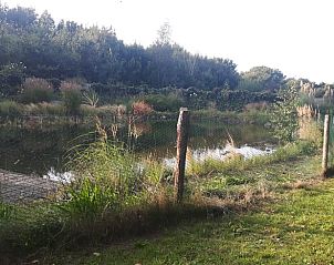 Natuurlijke omgeving van Vakantiehuisje in Haulerwijk, met een vijver en groene bossen in Friesland.
